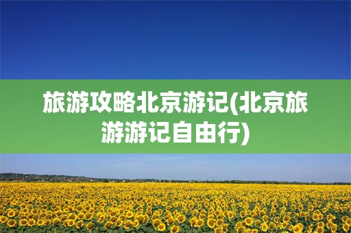 旅游攻略北京游记(北京旅游游记自由行)