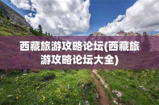 西藏旅游攻略论坛(西藏旅游攻略论坛大全)