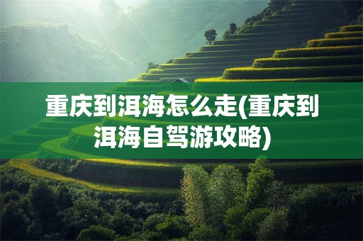 重庆到洱海怎么走(重庆到洱海自驾游攻略)