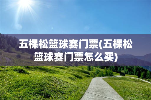 五棵松篮球赛门票(五棵松篮球赛门票怎么买)