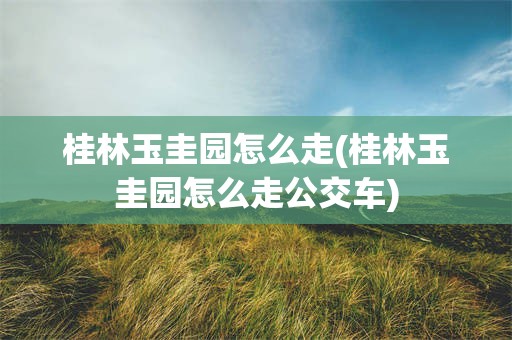 桂林玉圭园怎么走(桂林玉圭园怎么走公交车)