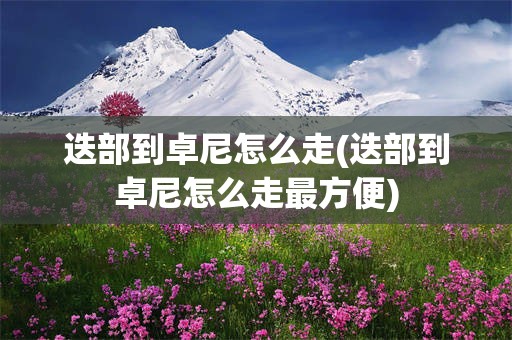 迭部到卓尼怎么走(迭部到卓尼怎么走最方便)