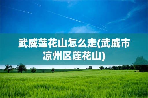 武威莲花山怎么走(武威市凉州区莲花山)