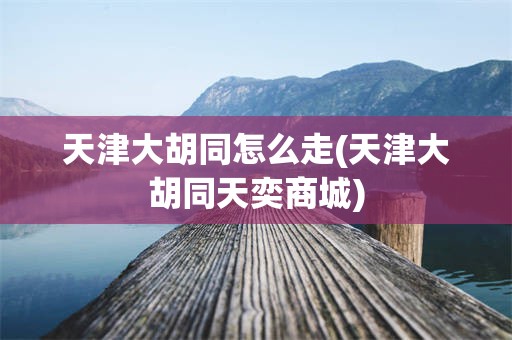天津大胡同怎么走(天津大胡同天奕商城)