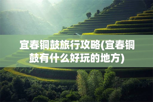 宜春铜鼓旅行攻略(宜春铜鼓有什么好玩的地方)