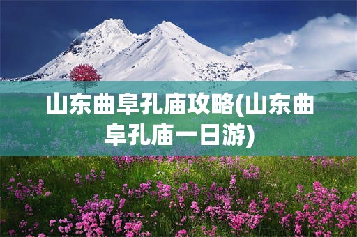 山东曲阜孔庙攻略(山东曲阜孔庙一日游)