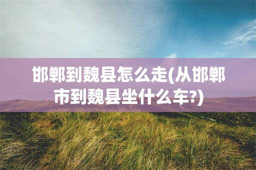 邯郸到魏县怎么走(从邯郸市到魏县坐什么车?)
