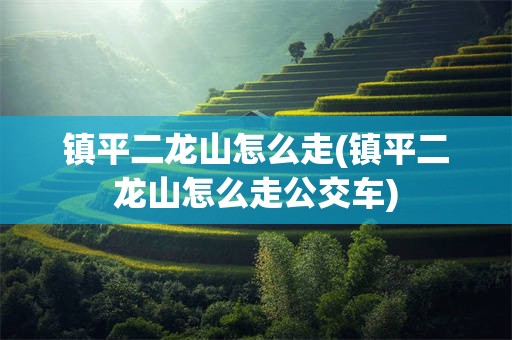 镇平二龙山怎么走(镇平二龙山怎么走公交车)