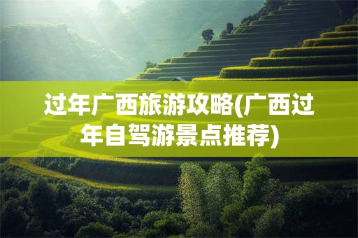 过年广西旅游攻略(广西过年自驾游景点推荐)