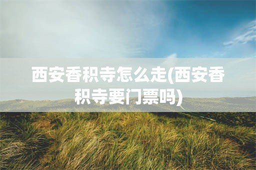 西安香积寺怎么走(西安香积寺要门票吗)