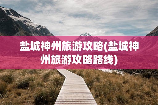 盐城神州旅游攻略(盐城神州旅游攻略路线)