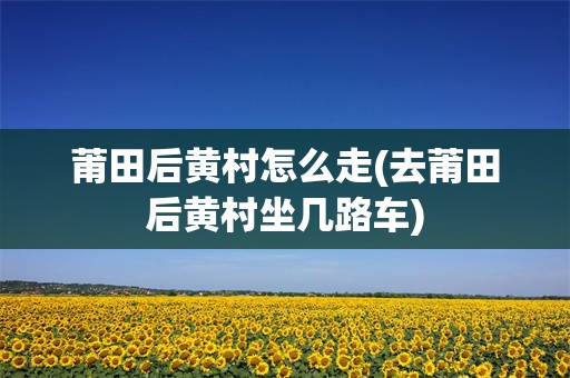 莆田后黄村怎么走(去莆田后黄村坐几路车)