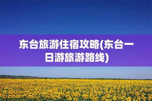 东台旅游住宿攻略(东台一日游旅游路线)