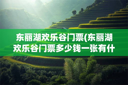 东丽湖欢乐谷门票(东丽湖欢乐谷门票多少钱一张有什么优惠)