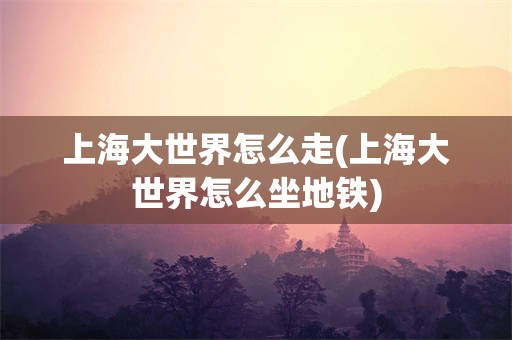 上海大世界怎么走(上海大世界怎么坐地铁)