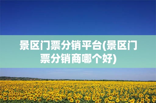 景区门票分销平台(景区门票分销商哪个好)