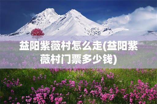 益阳紫薇村怎么走(益阳紫薇村门票多少钱)