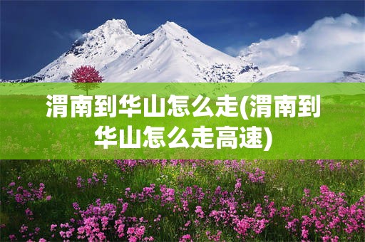 渭南到华山怎么走(渭南到华山怎么走高速)