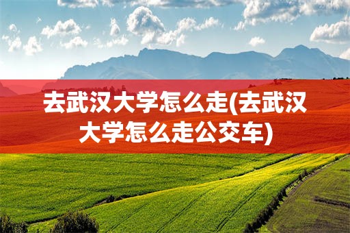 去武汉大学怎么走(去武汉大学怎么走公交车)