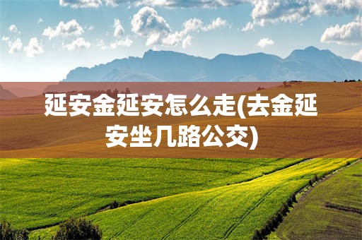 延安金延安怎么走(去金延安坐几路公交)