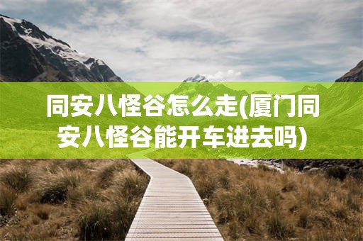 同安八怪谷怎么走(厦门同安八怪谷能开车进去吗)