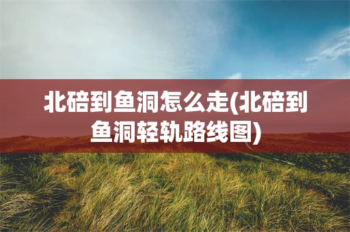 北碚到鱼洞怎么走(北碚到鱼洞轻轨路线图)
