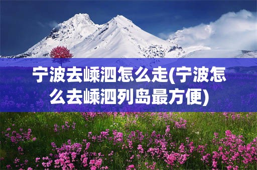 宁波去嵊泗怎么走(宁波怎么去嵊泗列岛最方便)