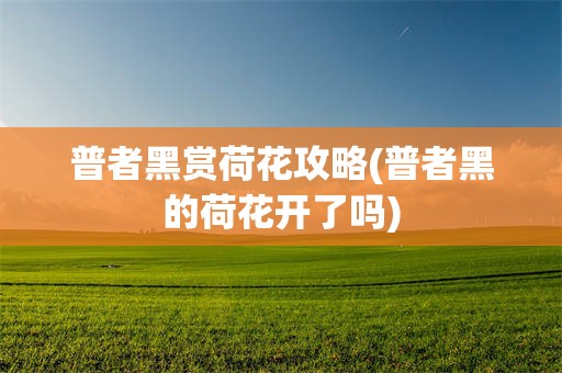 普者黑赏荷花攻略(普者黑的荷花开了吗)