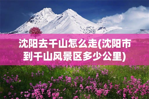 沈阳去千山怎么走(沈阳市到千山风景区多少公里)