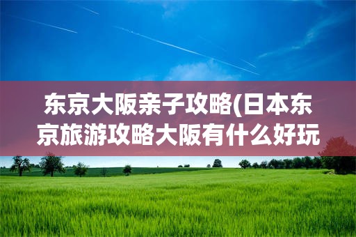 东京大阪亲子攻略(日本东京旅游攻略大阪有什么好玩的)