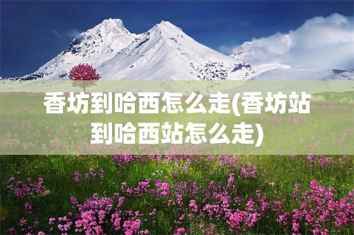 香坊到哈西怎么走(香坊站到哈西站怎么走)