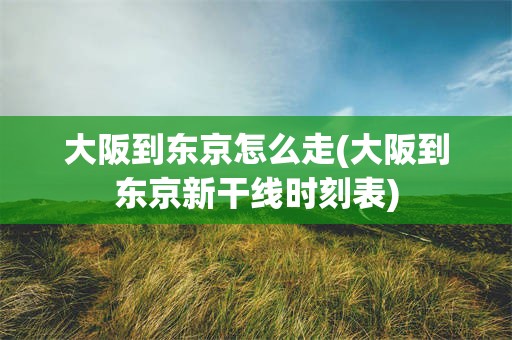 大阪到东京怎么走(大阪到东京新干线时刻表)