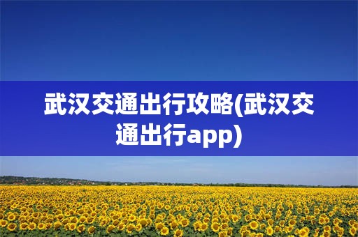 武汉交通出行攻略(武汉交通出行app)
