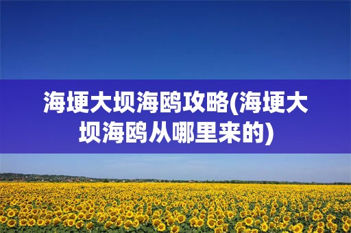 海埂大坝海鸥攻略(海埂大坝海鸥从哪里来的)