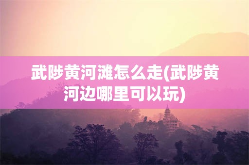 武陟黄河滩怎么走(武陟黄河边哪里可以玩)