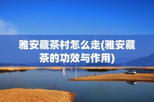 雅安藏茶村怎么走(雅安藏茶的功效与作用)