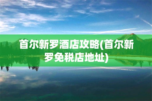 首尔新罗酒店攻略(首尔新罗免税店地址)