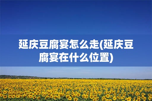 延庆豆腐宴怎么走(延庆豆腐宴在什么位置)
