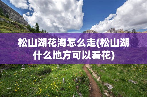 松山湖花海怎么走(松山湖什么地方可以看花)