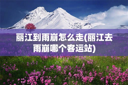 丽江到雨崩怎么走(丽江去雨崩哪个客运站)