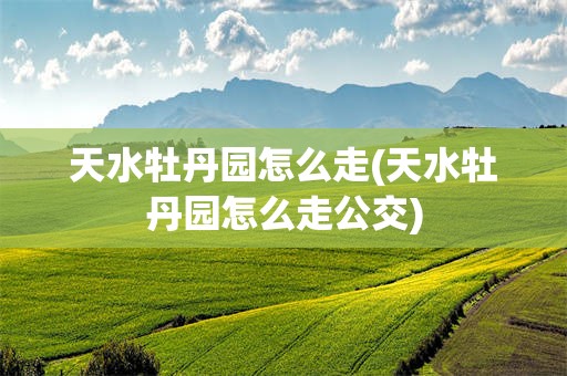 天水牡丹园怎么走(天水牡丹园怎么走公交)