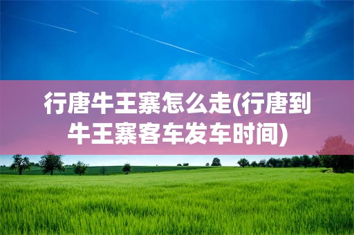 行唐牛王寨怎么走(行唐到牛王寨客车发车时间)