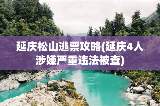 延庆松山逃票攻略(延庆4人涉嫌严重违法被查)