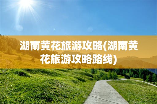 湖南黄花旅游攻略(湖南黄花旅游攻略路线)
