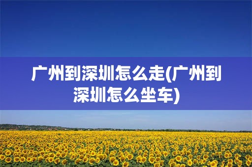 广州到深圳怎么走(广州到深圳怎么坐车)