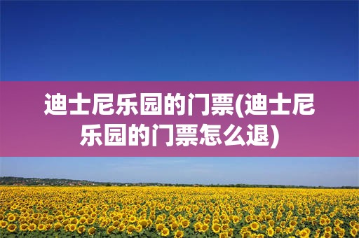 迪士尼乐园的门票(迪士尼乐园的门票怎么退)
