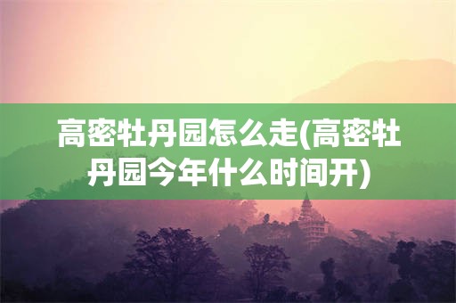 高密牡丹园怎么走(高密牡丹园今年什么时间开)
