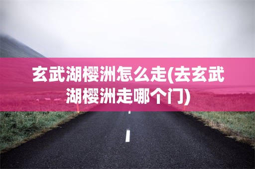 玄武湖樱洲怎么走(去玄武湖樱洲走哪个门)