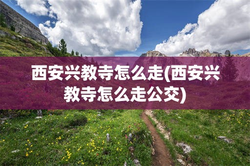 西安兴教寺怎么走(西安兴教寺怎么走公交)
