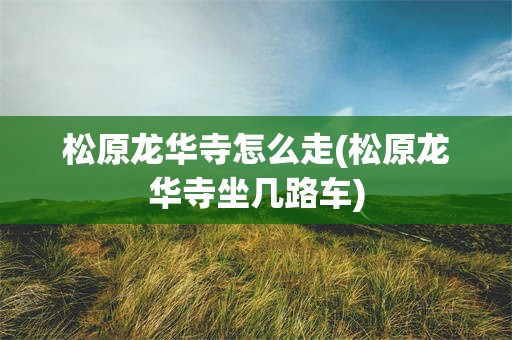 松原龙华寺怎么走(松原龙华寺坐几路车)